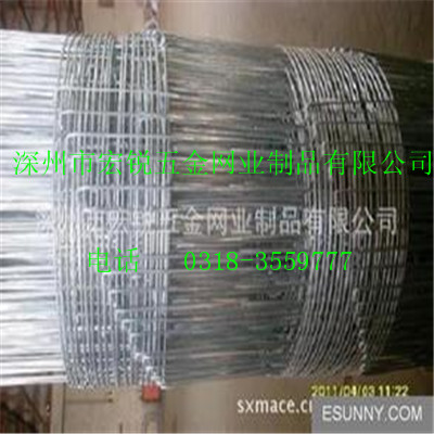 深州宏銳0.8米鍍鋅草原網