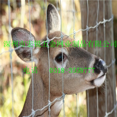 深州宏銳2米鍍鋅草原網