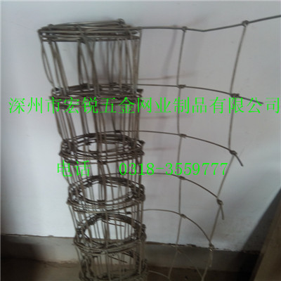 深州宏銳2.3米鍍鋅草原網(wǎng)直銷