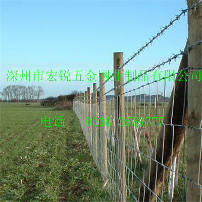 深州宏銳2.2米牛欄網(wǎng)直銷