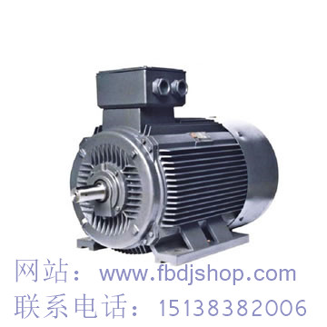 遼陽TYCX永磁電機