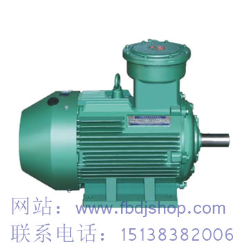 無錫TYCX永磁電機