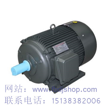 武漢防爆電機(jī)