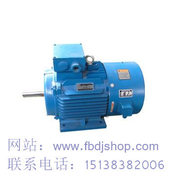 云南TYCX永磁電機