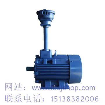 巢湖YBJ系列電機