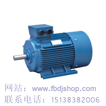 蘭州YE2電機
