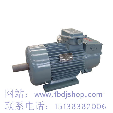 阜新YZPE電機(jī)