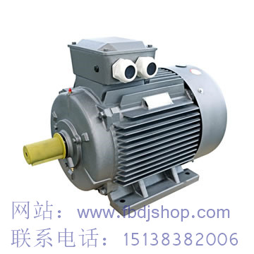 青島YBZE系列三相異步電動機