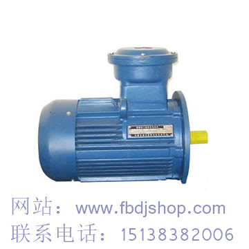 信陽TYCX永磁電機