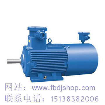 福州YBD系列電機
