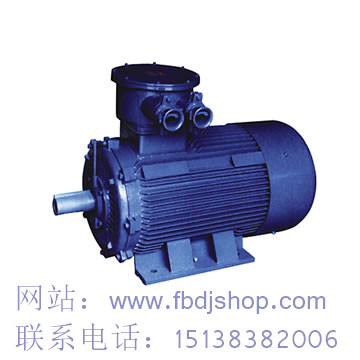 福州YBD系列電機