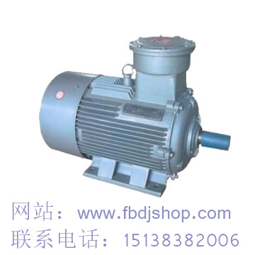 輝縣防爆電機_價格_型號_標準_生產廠家批發