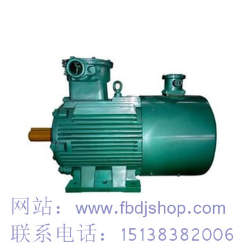 唐山防爆電機(jī)_價格_型號_標(biāo)準(zhǔn)_生產(chǎn)廠家批發(fā)