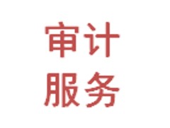 浙江{yl}的審計服務(wù)項目服務(wù)|審計服務(wù)哪家好