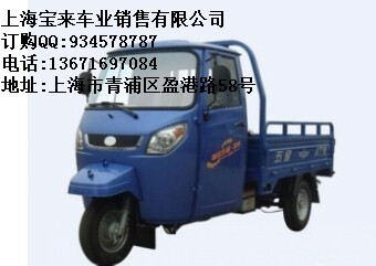 福田200ZH-10(JB)封閉式方向盤(pán)正三輪摩托車(chē)tj原始圖片2