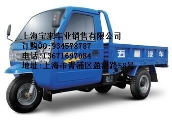 湖州福田五星-175三輪摩托車tj原始圖片2