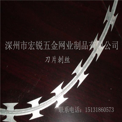 監(jiān)獄防護(hù)刺繩網(wǎng)，刀片刺繩網(wǎng)圍欄。原始圖片2