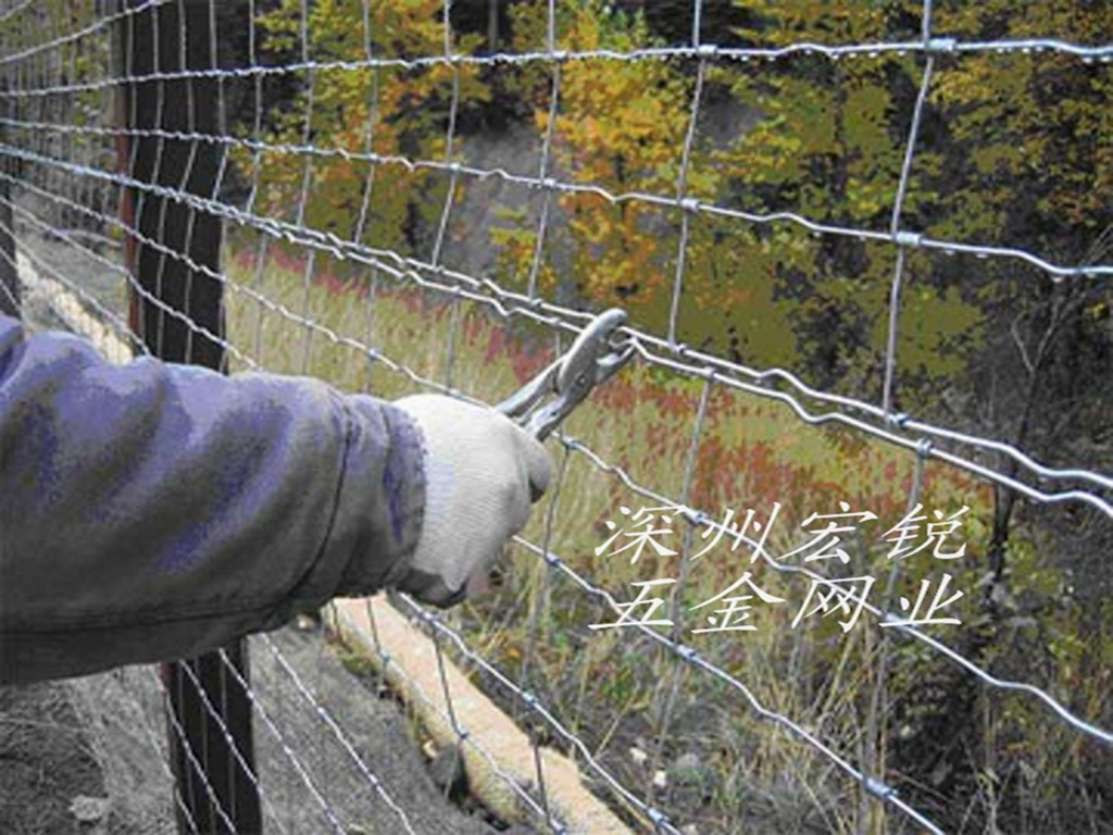 深州宏銳廠家直銷草原網(wǎng)、牛欄網(wǎng)。