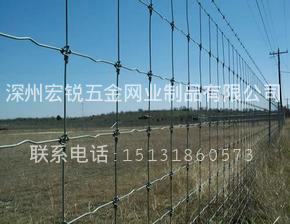  鍍鋅鋼絲草原網(wǎng)，深州宏銳廠家直銷。原始圖片2