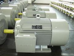 壽光特種電機維修廠_濰坊周到的特種電機維修