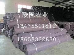 專業(yè)建造花卉溫室大棚——山東結(jié)實(shí)耐用的花卉溫室大棚