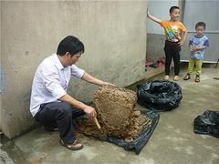 福州白蟻滅治哪里好 {yl}的白蟻滅治