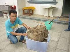哪里有提供服務(wù)好的白蟻防治：白蟻世家哪家好