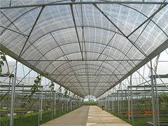 璧山葡萄園種植技術——廣西哪家葡萄園種植公司靠譜