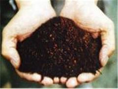優質的食用菌大棚推薦 福建食用菌大棚公司