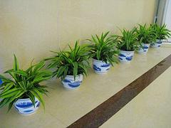 專業(yè)保安 上哪找可信賴的安保服務(wù)