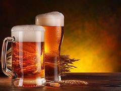 新品青島啤酒批發(fā)【福建】——啤酒批發(fā)熱線