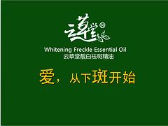 選擇效益好的精油加盟，就來云草堂生物工程有限公司_中國精油加盟