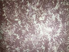 肌理壁膜怎么樣——佛山誠招專業(yè)的肌理壁膜加盟
