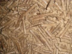 生物燃料多少錢：質量硬的生物質顆粒燃料【誠摯推薦】