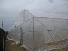 連棟大棚安裝 廣西高質(zhì)量的連棟大棚