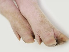 劃算的雙匯冷鮮肉供應，就在曉陽雙匯冷鮮肉中轉站：批發豬肉產品