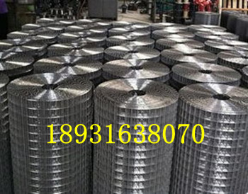 不銹鋼電焊網/防蛇用1/4不銹鋼電焊網/不銹鋼電焊網廠家