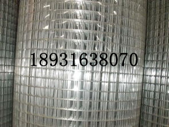不銹鋼電焊網/佳木斯建筑不銹鋼電焊網/安平不銹鋼電焊網廠家原始圖片3