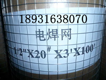 不銹鋼電焊網(wǎng)/韶關(guān)建筑不銹鋼電焊網(wǎng)/不銹鋼電焊網(wǎng)廠家供應(yīng)原始圖片3