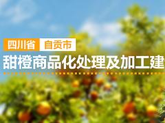 口碑好的广告宣传公司是哪家 广告宣传信息