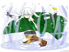買漫畫作品就到喵君文化——泉州漫畫作品