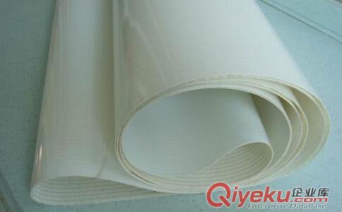 佛山PE輸送帶廠家直銷價(jià)格實(shí)惠支持定制