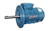 質量的YX3-B35立臥式電動機在哪可以買到_中國立臥式電動機