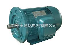 劃算的YE3超{gx}三相異步電動機(jī)通達(dá)電機(jī)供應(yīng)_電動機(jī)廠家