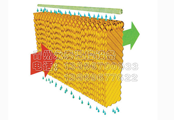 定做降温风机水帘——永泰温控设备——畅销降温风机水帘提供商