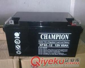 {gj}蓄電池12V18AH 原始圖片3
