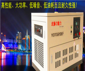 20KW汽油發電機