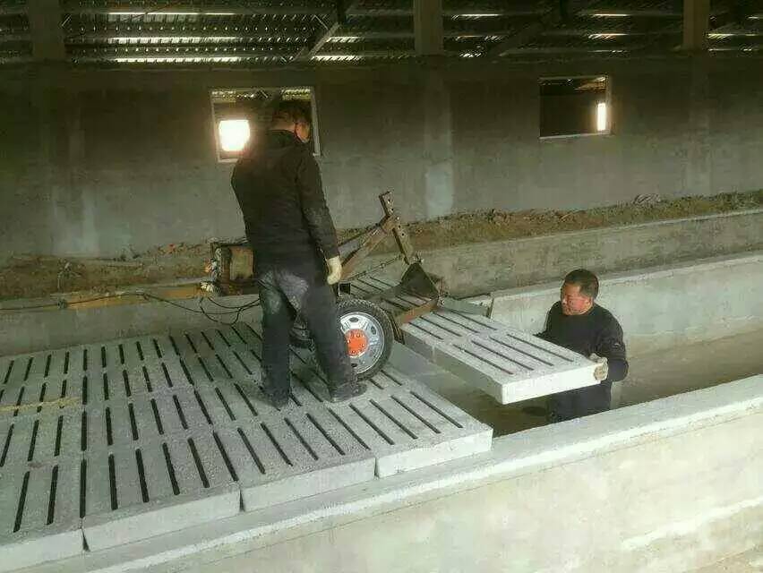 廣州飼料混合機(jī)規(guī)格