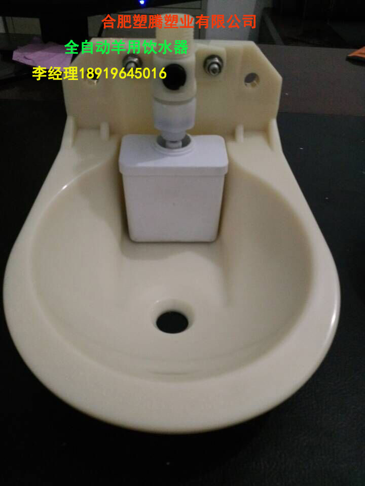 巢湖全自動羊用飲水器生產【塑騰】巢湖全自動羊用飲水器廠家