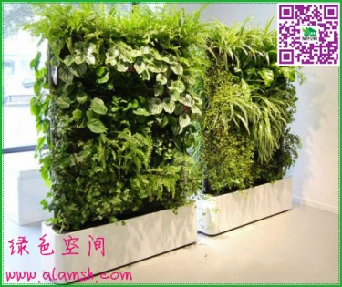 餐廳仿真植物墻怎么制作